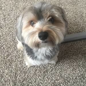 Meet your Posher, Huu